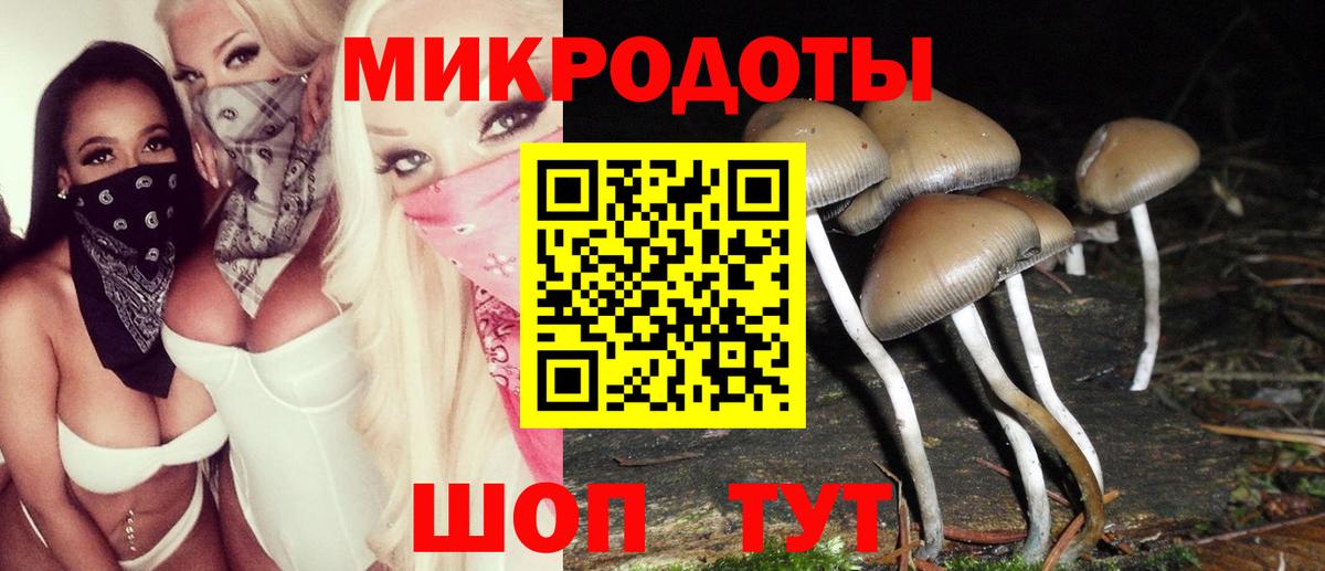 Борисоглебск  Псилоцибиновые грибы ЛСД  Вход с VPN 